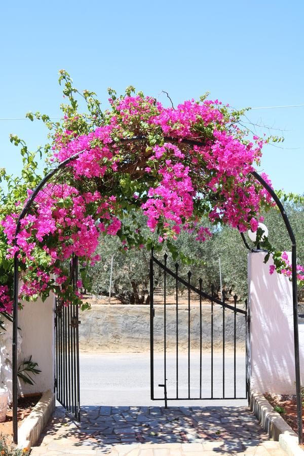Alex Home Apartments Hersonissos  Exterior foto